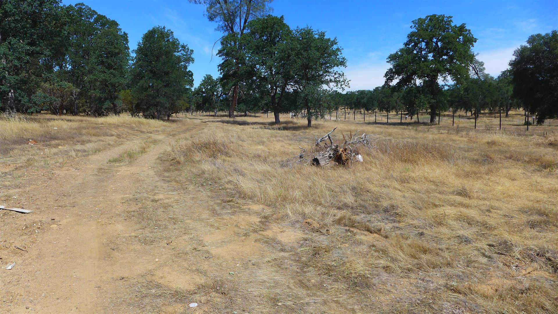 Two 2 Feathers Road Cottonwood, CA 96022 - Photo 10 of 22 P1030353
