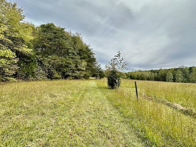 1614 Clay Long Road Timberlake, NC 27583 - Photo 54 of 75 Photo 54