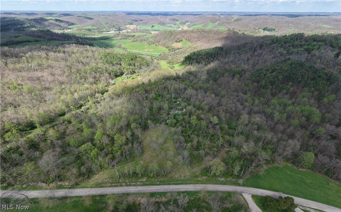 Deersville Ridge Road Cadiz, OH 43907 - Photo 18 of 41