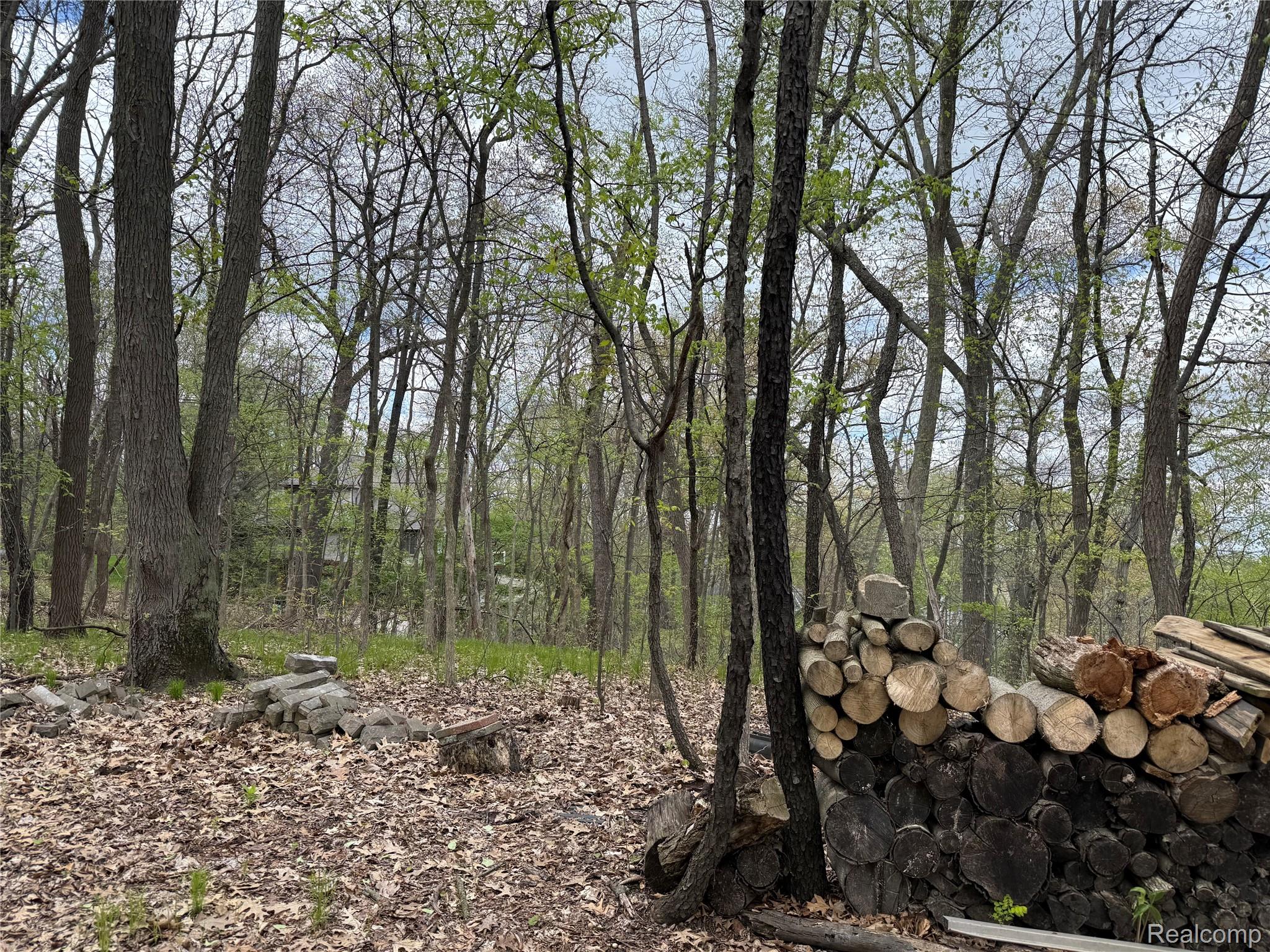 Lot 25 Hidden Ridge Trail Fenton, MI 48430 - Photo 7 of 7 At Far back corner