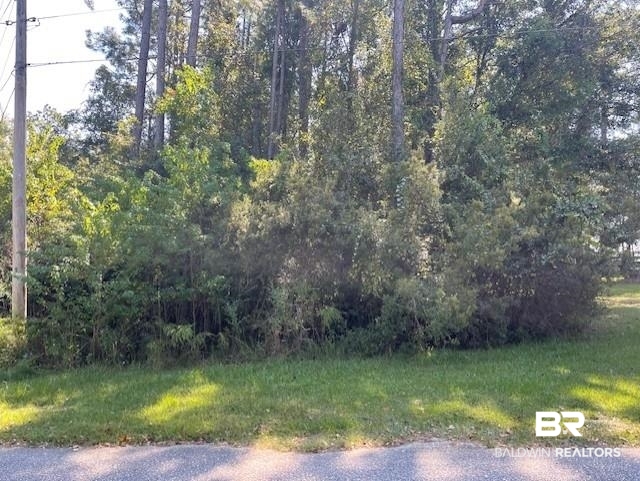 8897 County Road 12 Foley, AL 36535 - Photo 1 of 4 Gallery Image 1