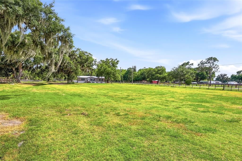 3416 Porter Road Lithia, FL 33547 - Photo 32 of 47