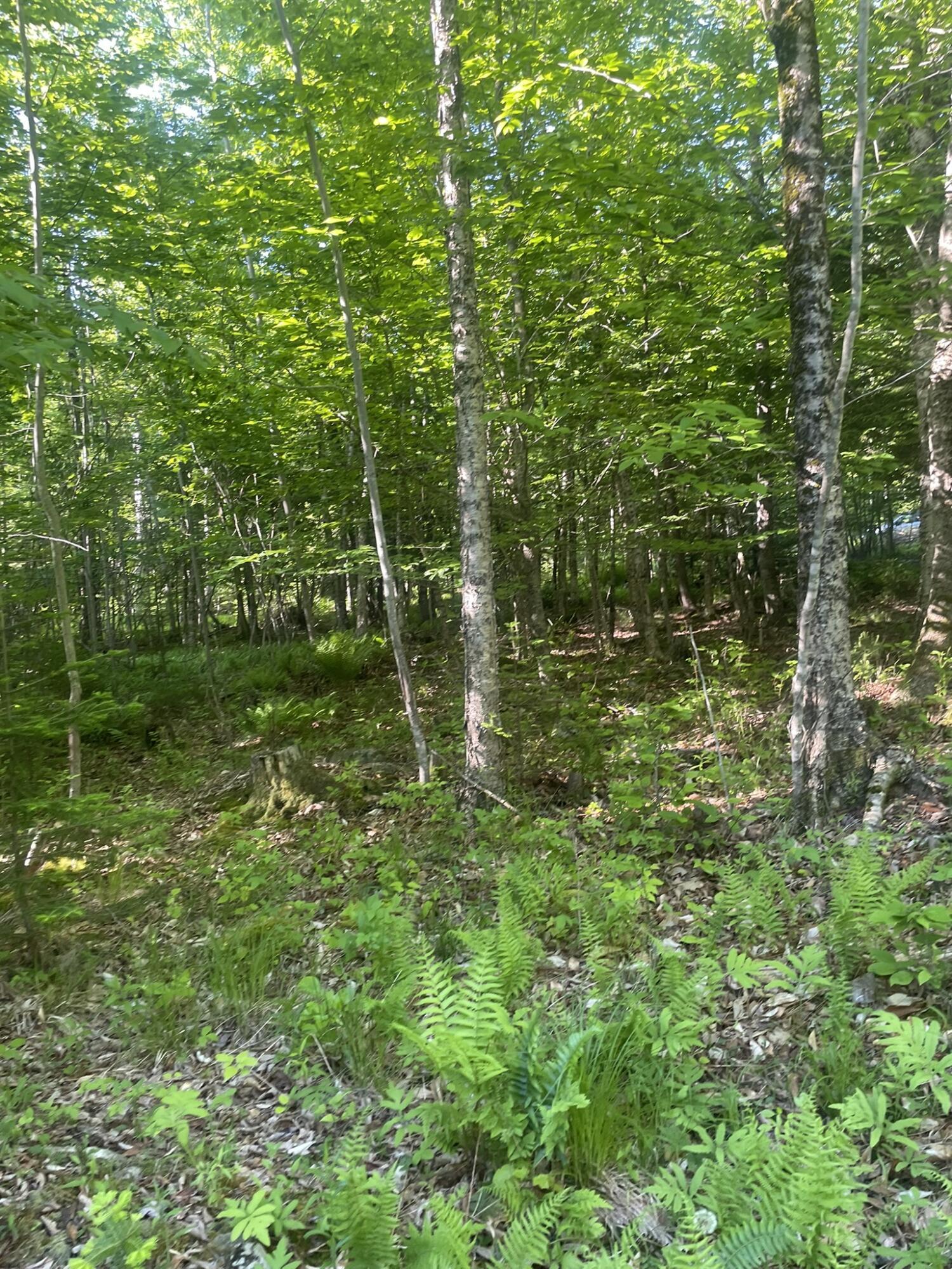 0 Macomber Road Readfield, ME 04355 - Photo 58 of 61 IMG_5694