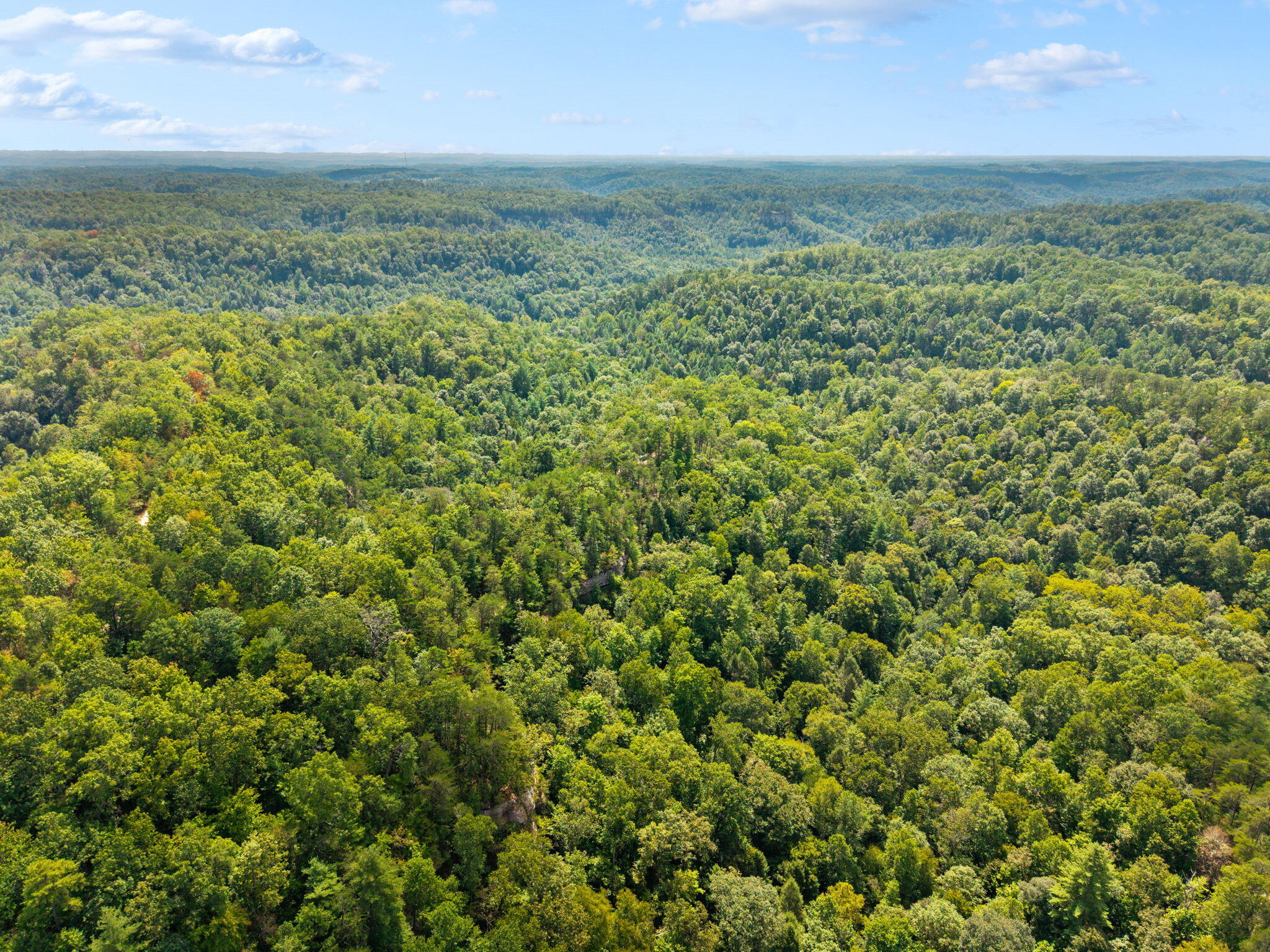 Highlands Of Rrg Lot 646 Highlands Of Rrg Trail Zoe, KY 41397 - Photo 19 of 19 52-web-or-mls-DJI_20260913141928_0117_D