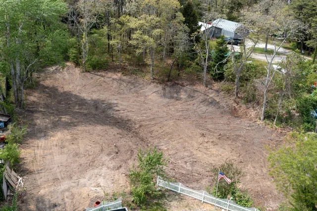 a view of a yard with plants and trees