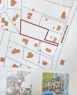 a view of a forest with trees in the background