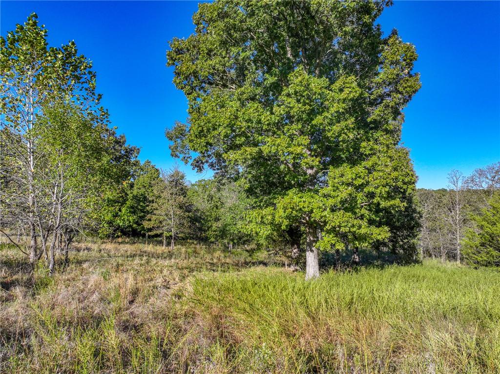 2125 S Road Stockton, MO 65785 - Photo 24 of 33 Gallery Image 24