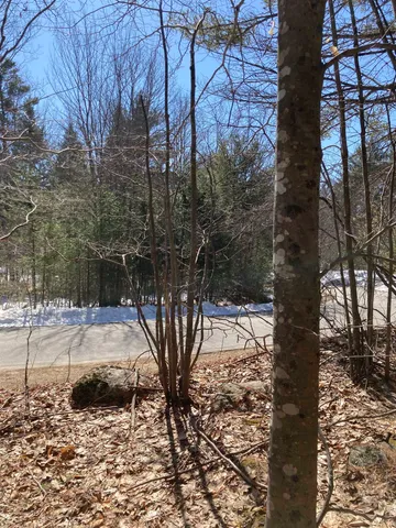 $69,900 | 0 Alden Washburn Drive, Tamworth, NH 03886