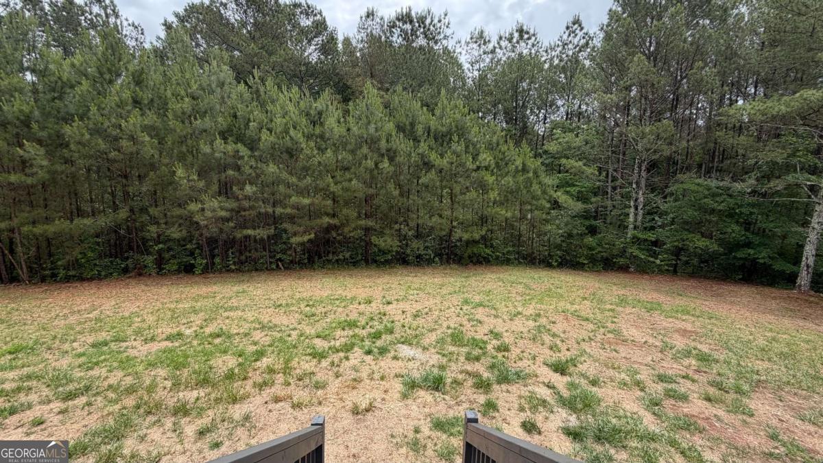 1646 Sandy Flat Road Bowdon, GA 30108 - Photo 45 of 46