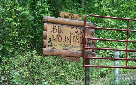 18-ac Stites Road Blue Ridge, GA 30513 - Photo 1 of 1 a view of outdoor space with signage and flags