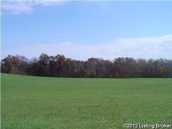 0 Swamp Hollow Road Canmer, KY 42722 - Photo 6 of 15 Additional Photo