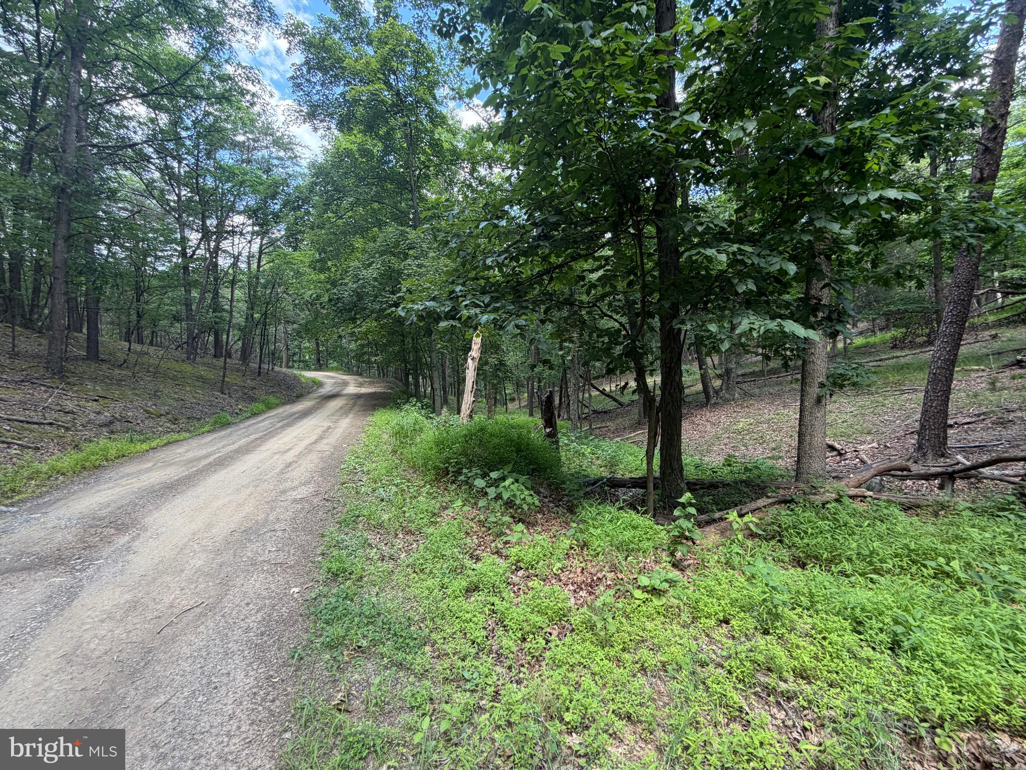 0 Headsville Road Keyser, WV 26726 - Photo 1 of 24