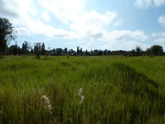 $793,440 | 17-351 Volcano Road, Kurtistown, HI 96760