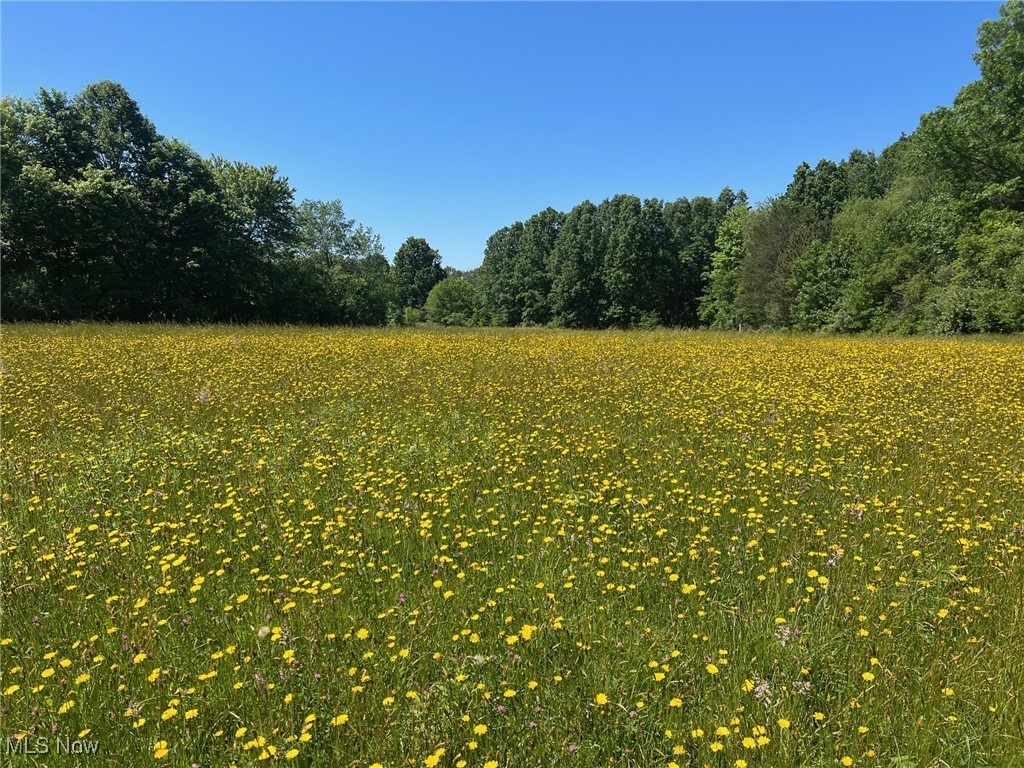 Tallmadge Road Rootstown, OH 44272 - Photo 1 of 3 View of nature