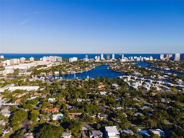 a view of a large body of water with lots of trees