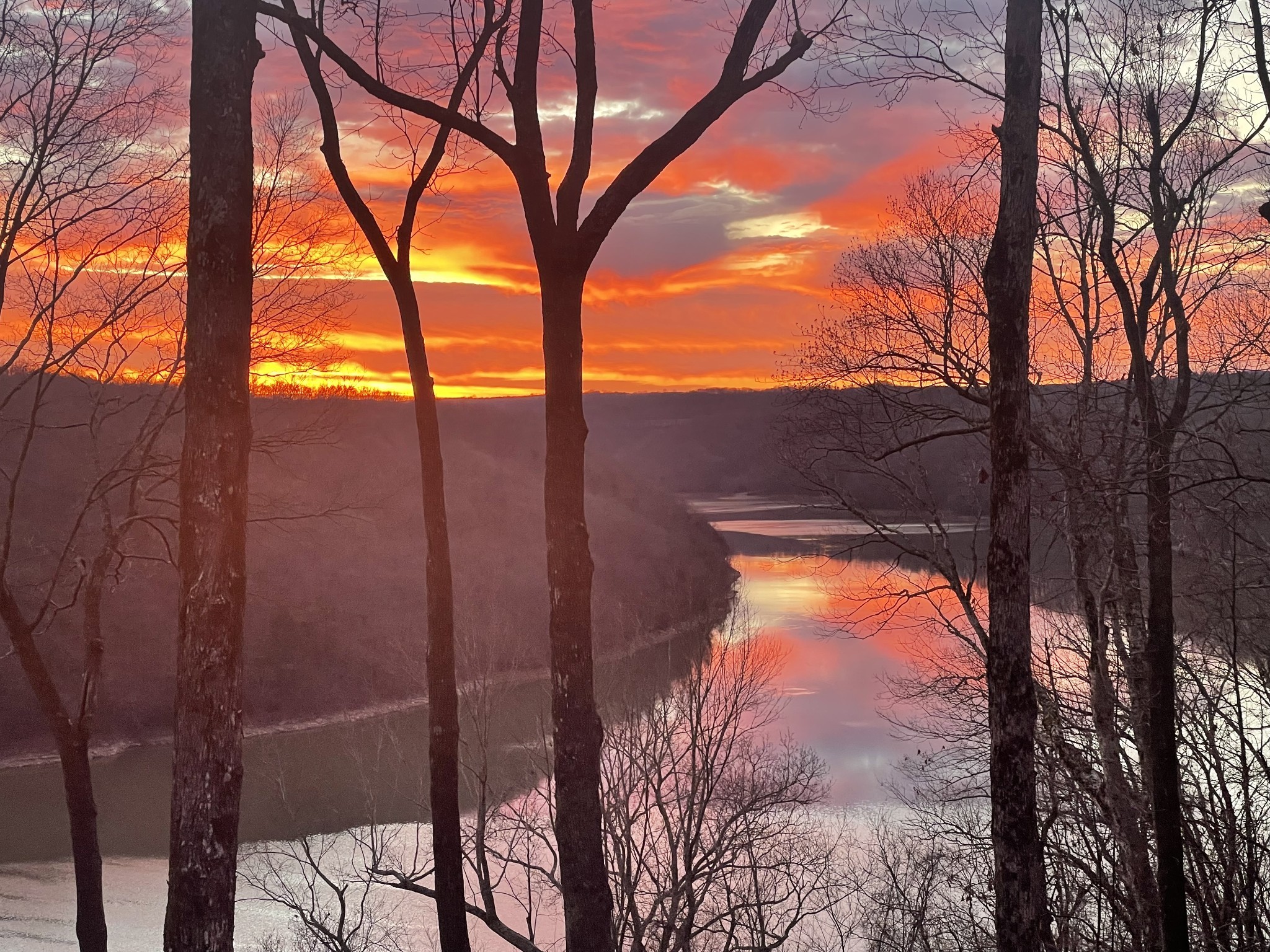 685 Young Green Road Smithville, TN 37166 - Photo 2 of 91