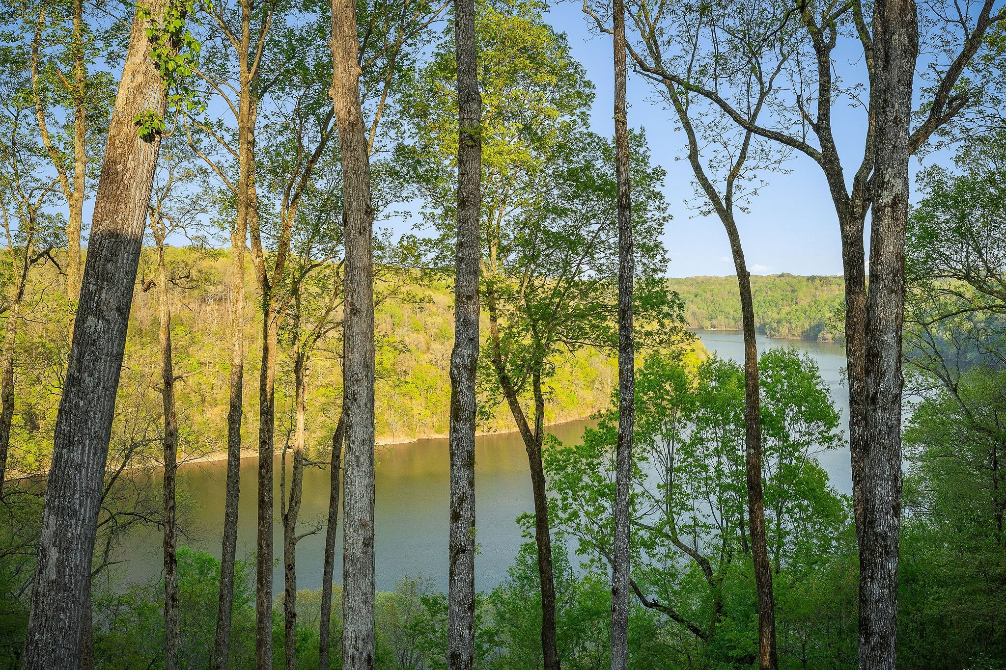 685 Young Green Road Smithville, TN 37166 - Photo 33 of 91