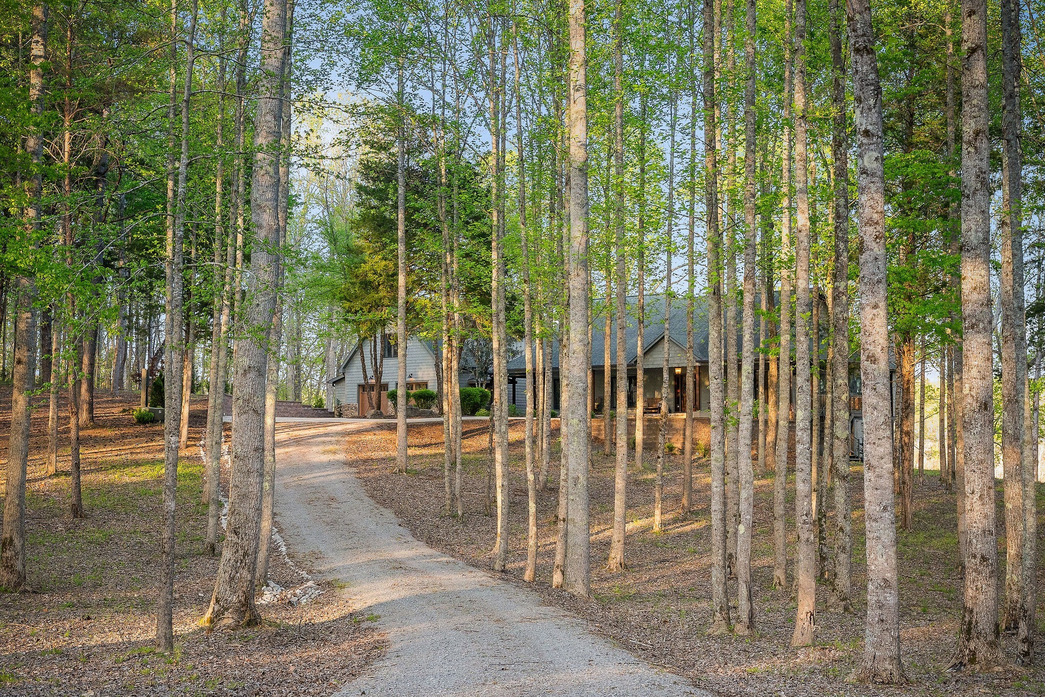 685 Young Green Road Smithville, TN 37166 - Photo 36 of 91