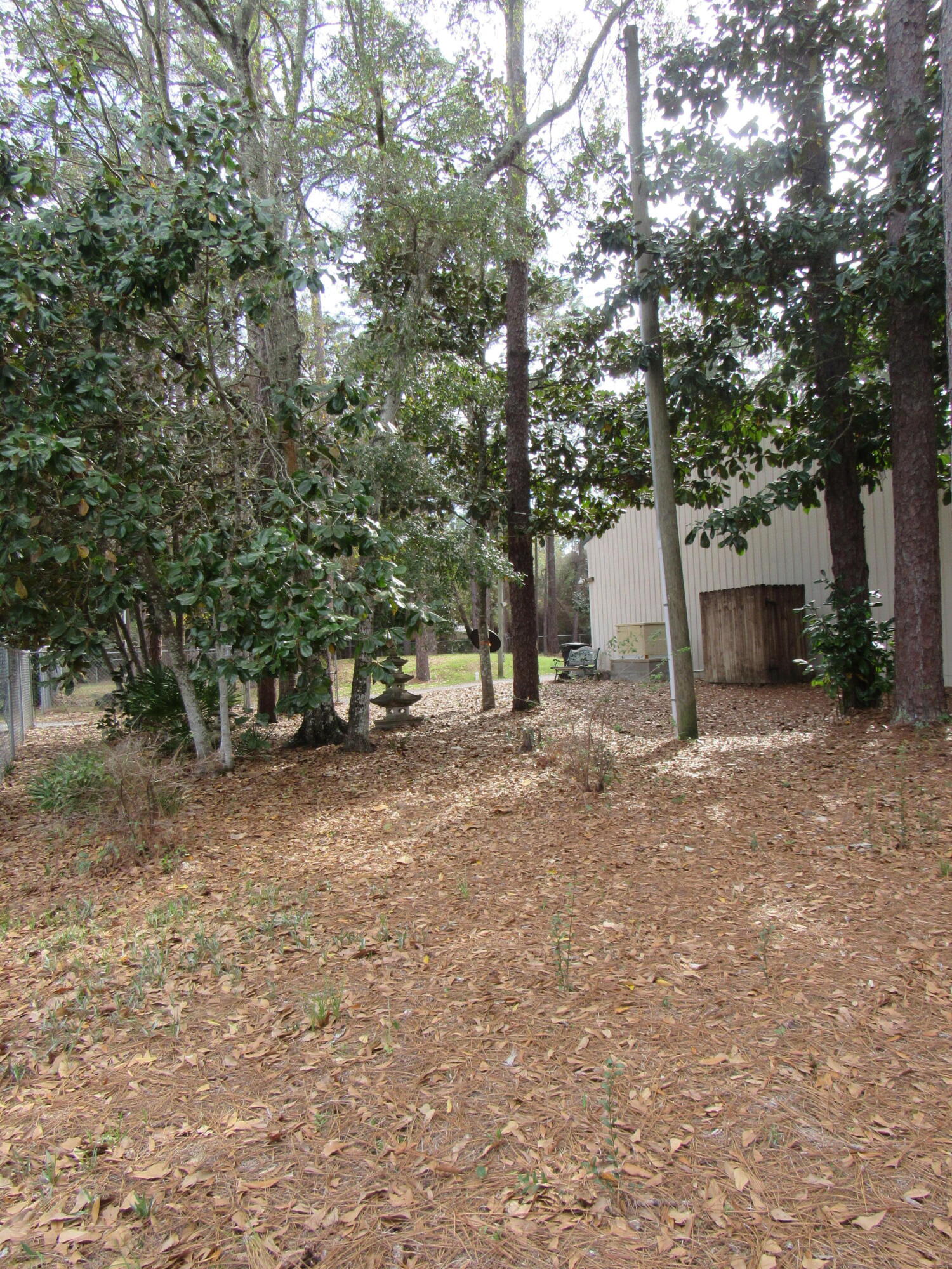 82 Palmetto Street Freeport, FL 32439 - Photo 3 of 55 a view of a yard with tree s