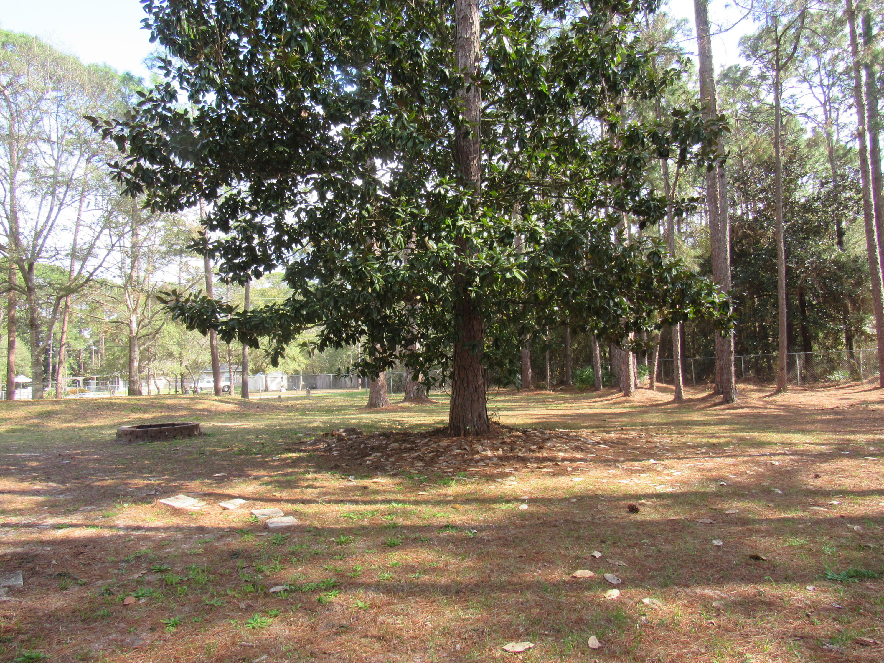 82 Palmetto Street Freeport, FL 32439 - Photo 49 of 55 a view of a yard with a trees