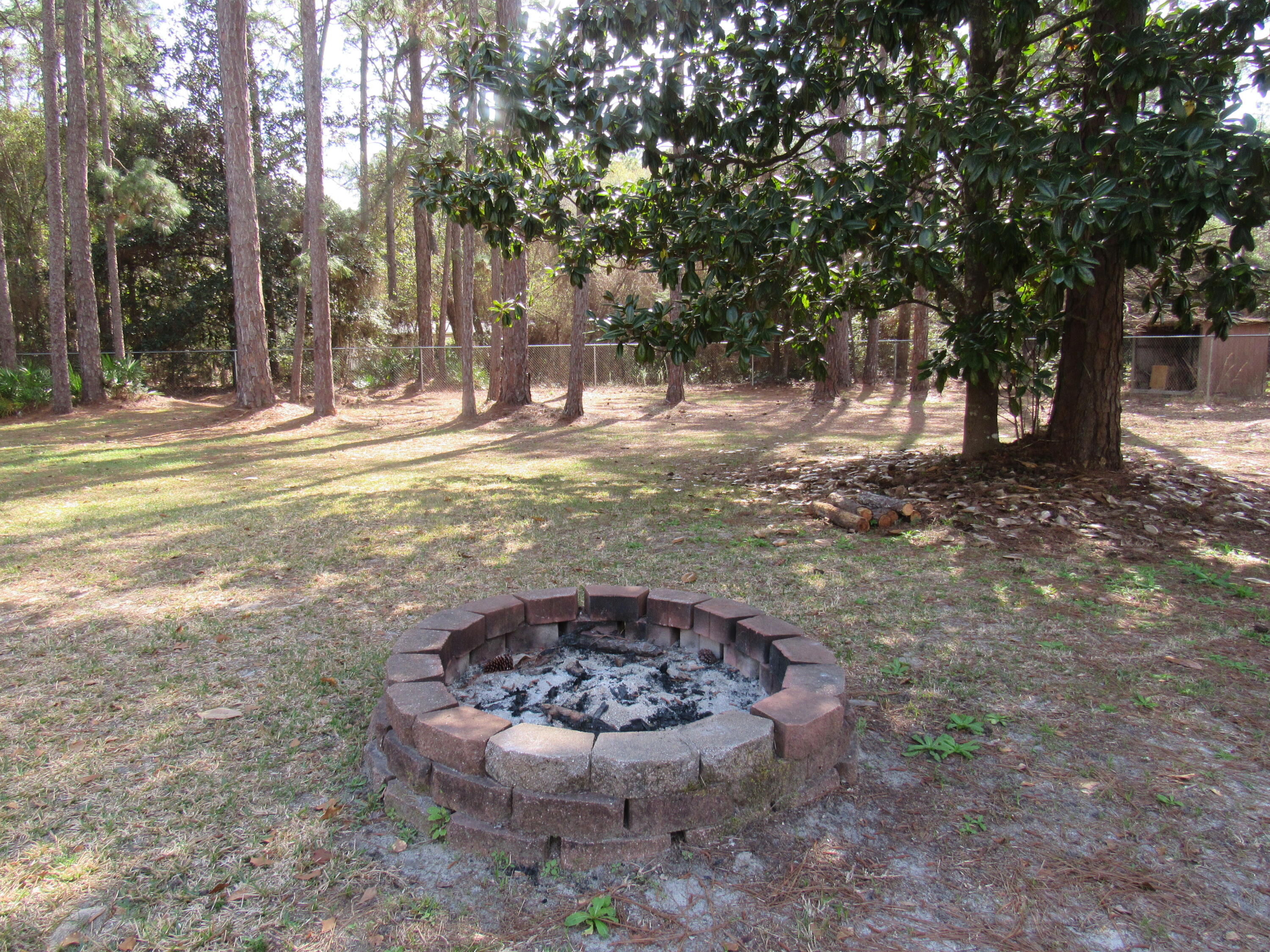 82 Palmetto Street Freeport, FL 32439 - Photo 5 of 55 a view of a backyard with large trees
