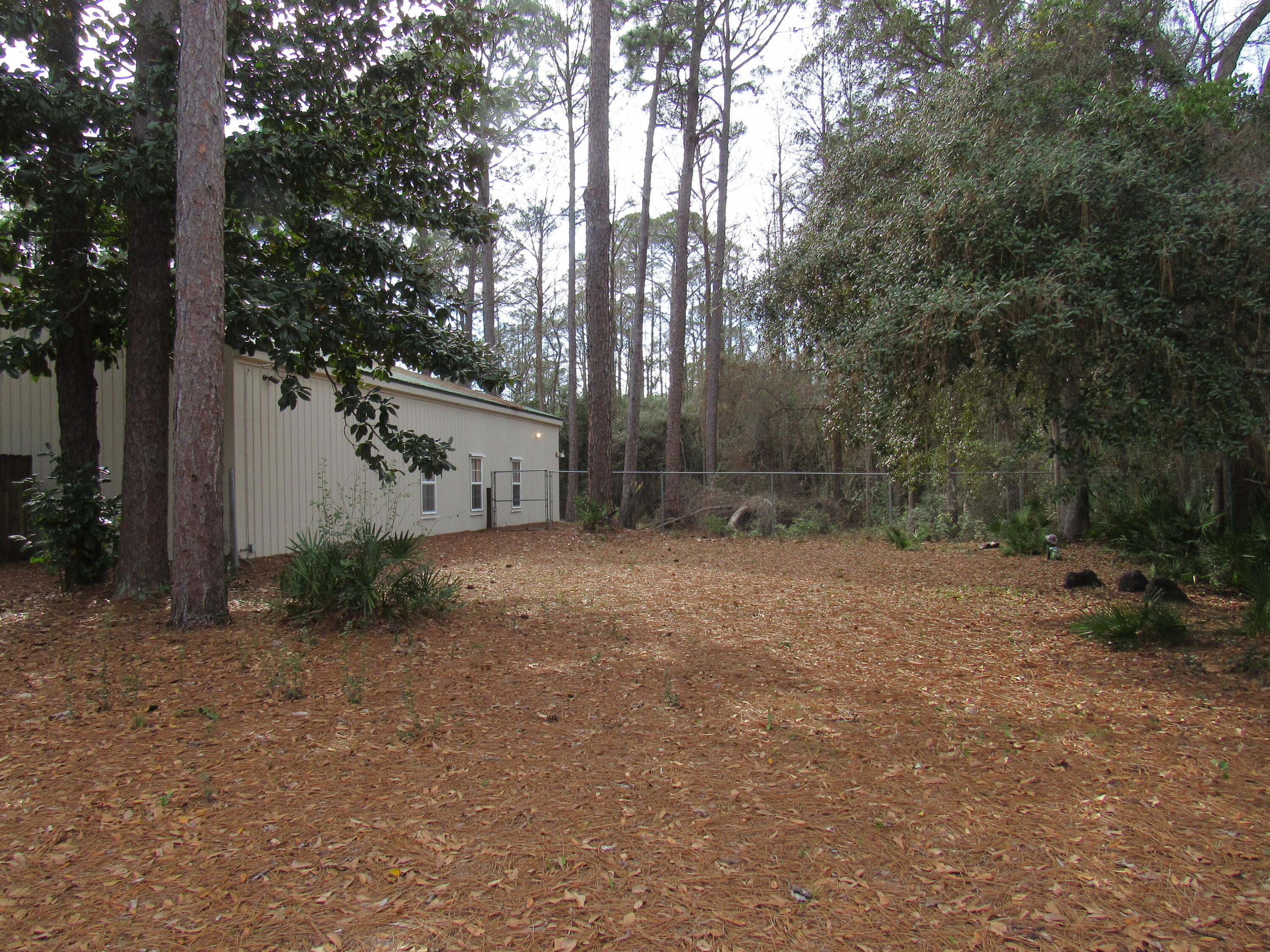 82 Palmetto Street Freeport, FL 32439 - Photo 8 of 55 a view of a backyard with large trees