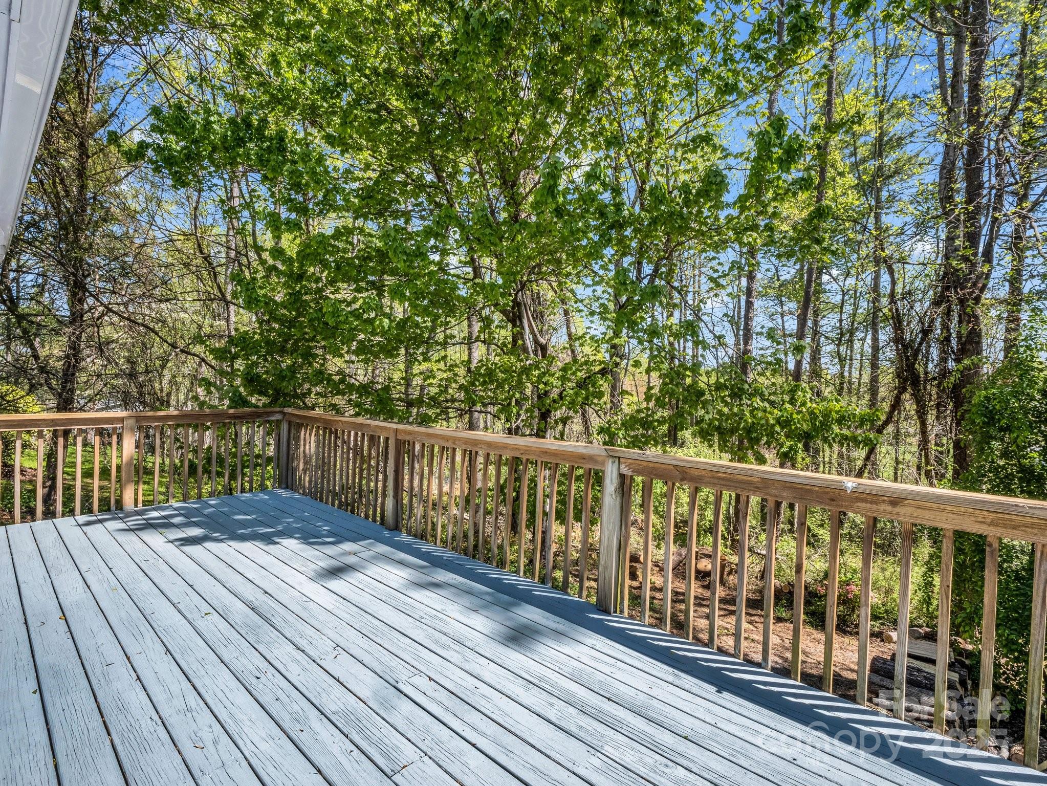 145 Quail Ridge Road Mills River, NC 28759 - Photo 22 of 41 Gallery Image 22