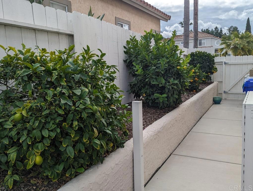 649 Montage Road Oceanside, CA 92057 - Photo 23 of 28 Fruit Trees