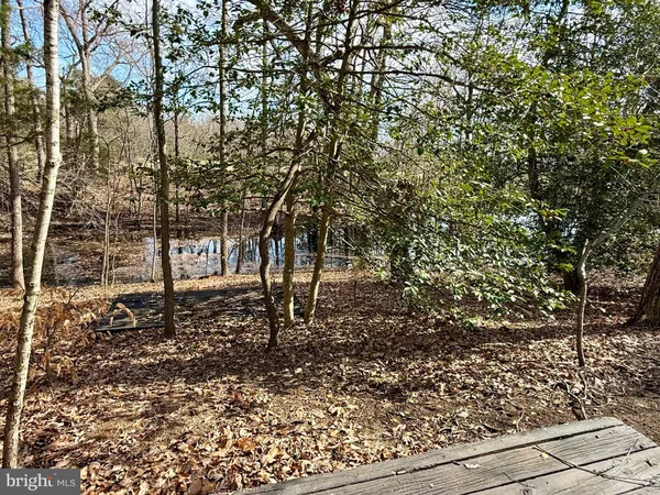a view of a yard with plants and trees