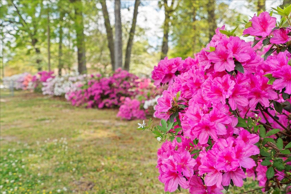 1001 North Main Street Marion, SC 29571 - Photo 10 of 51
