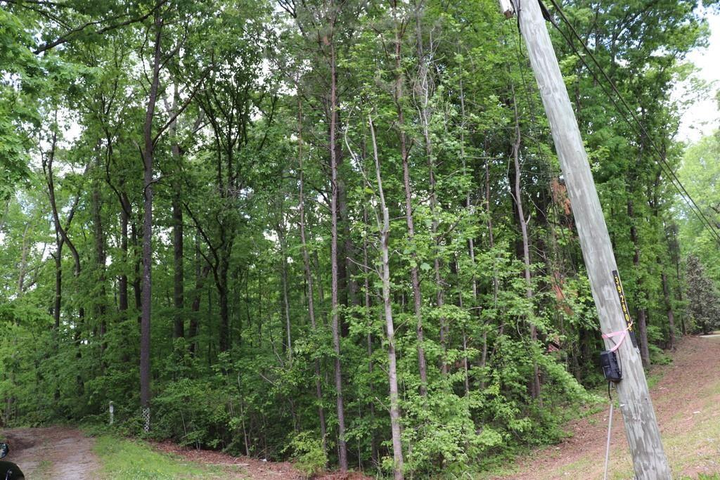 0 Jailette Road Southwest South Fulton, GA 30349 - Photo 4 of 4
