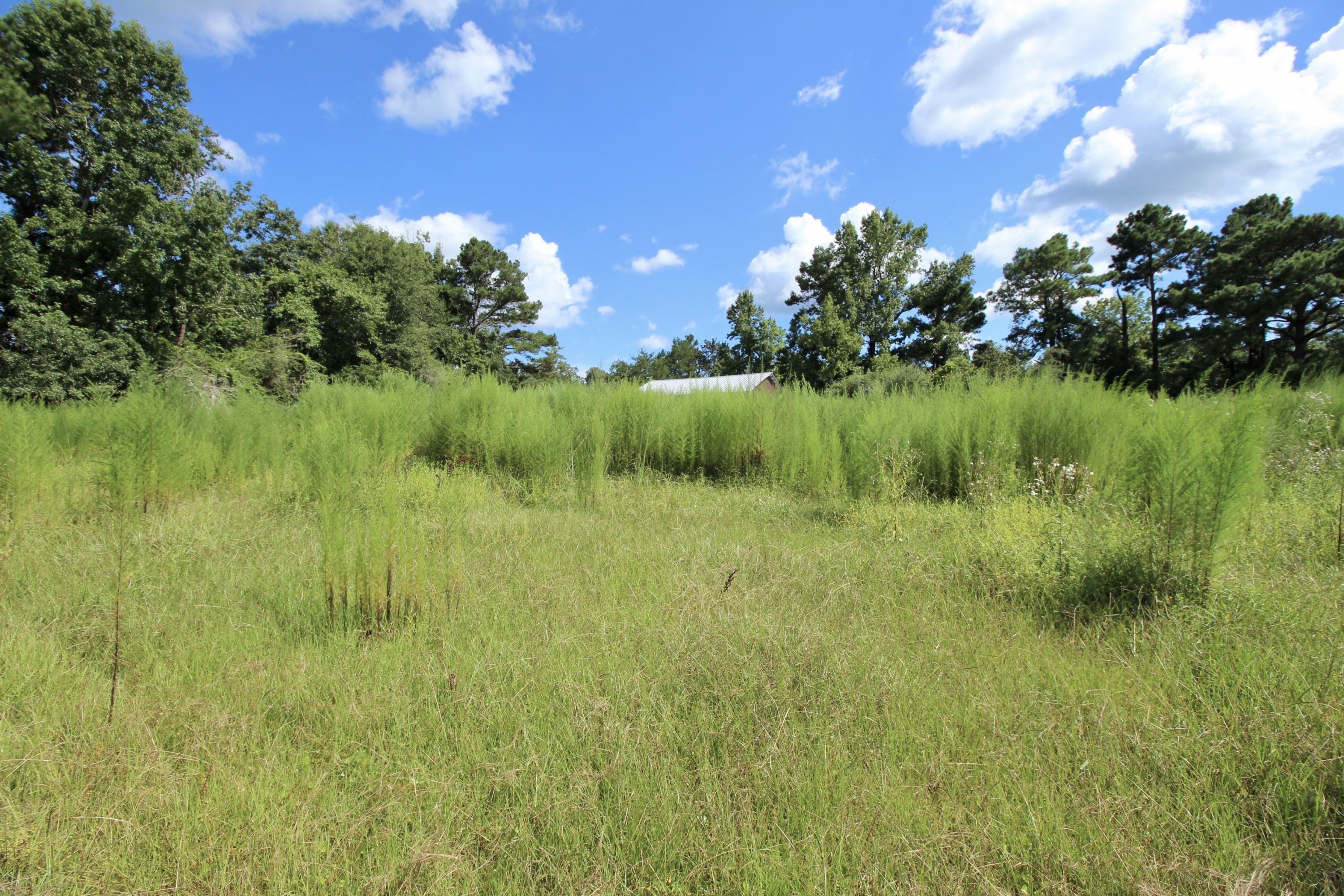 10-ac Boy Scout Road DeFuniak Springs, FL 32435 - Photo 11 of 16 fullsizeoutput_335