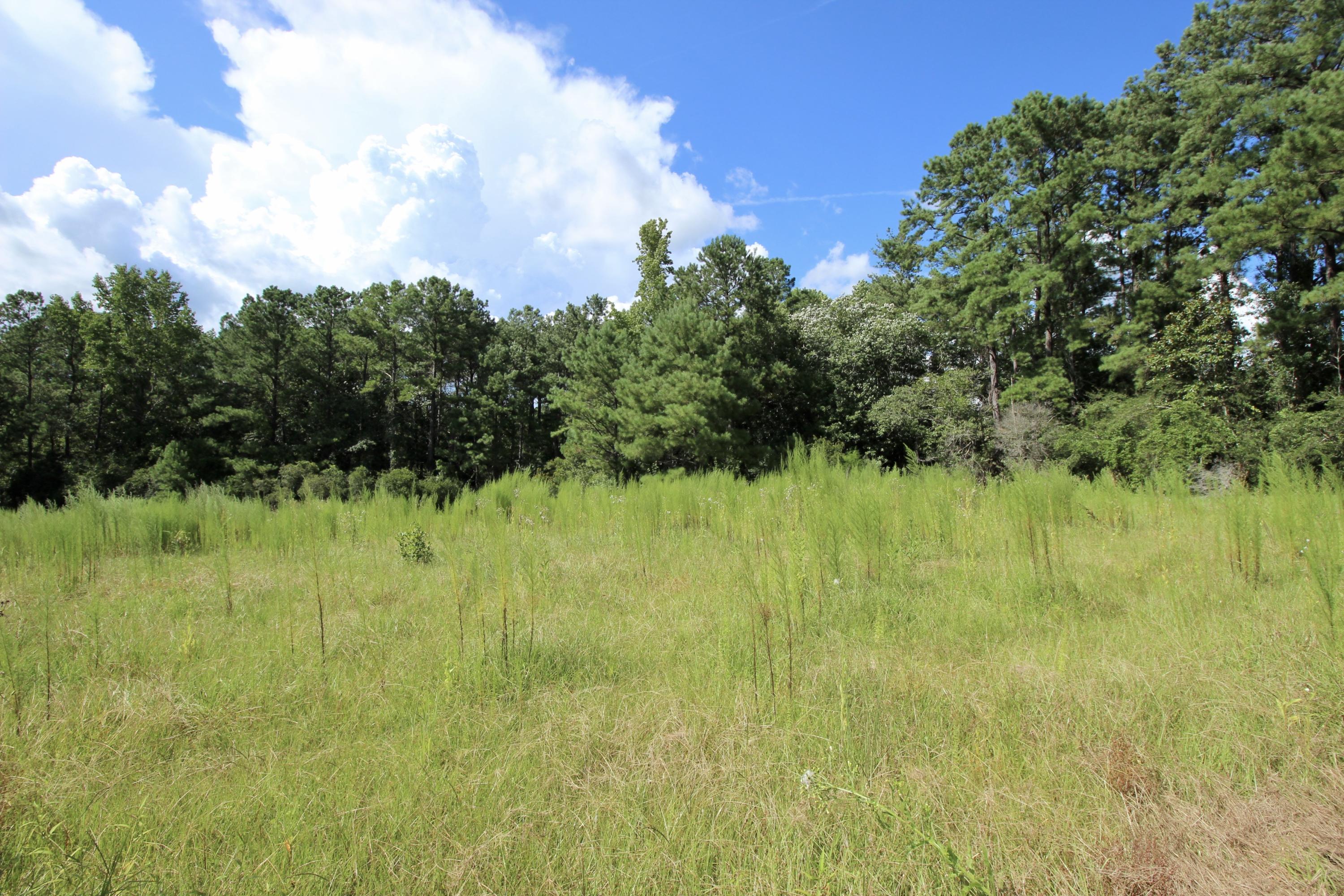 10-ac Boy Scout Road DeFuniak Springs, FL 32435 - Photo 12 of 16 fullsizeoutput_336
