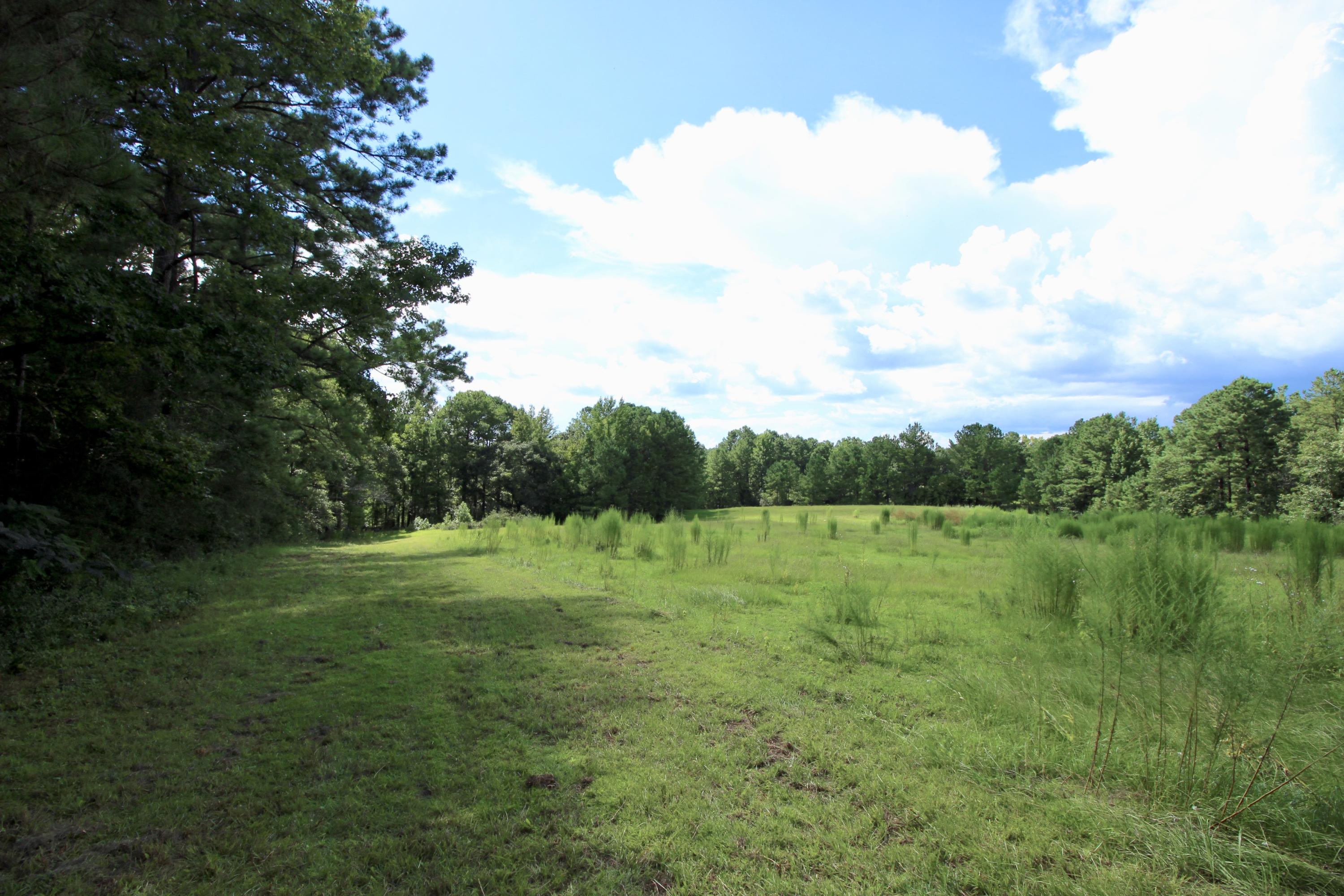10-ac Boy Scout Road DeFuniak Springs, FL 32435 - Photo 13 of 16 fullsizeoutput_337