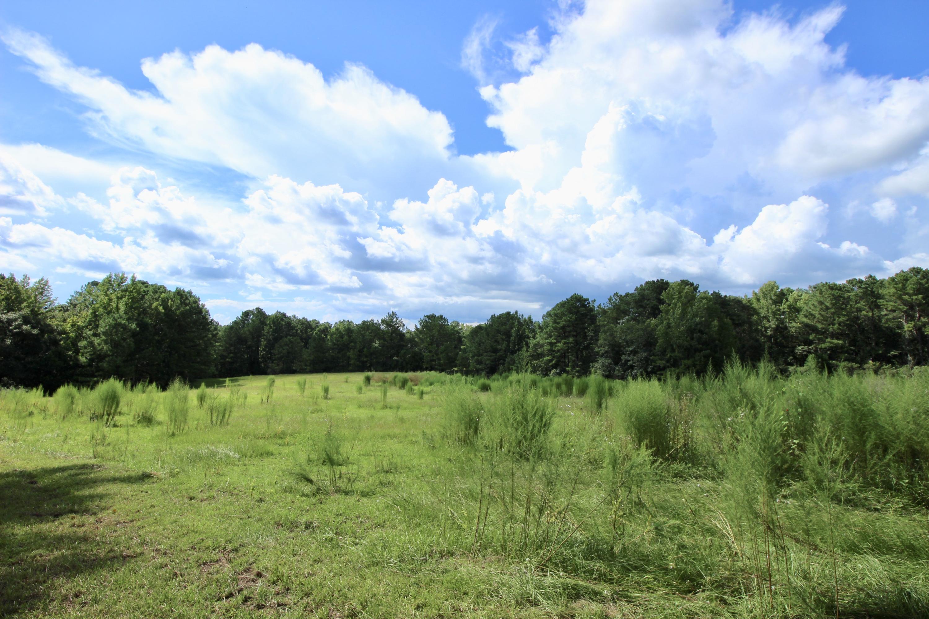 10-ac Boy Scout Road DeFuniak Springs, FL 32435 - Photo 14 of 16 fullsizeoutput_338