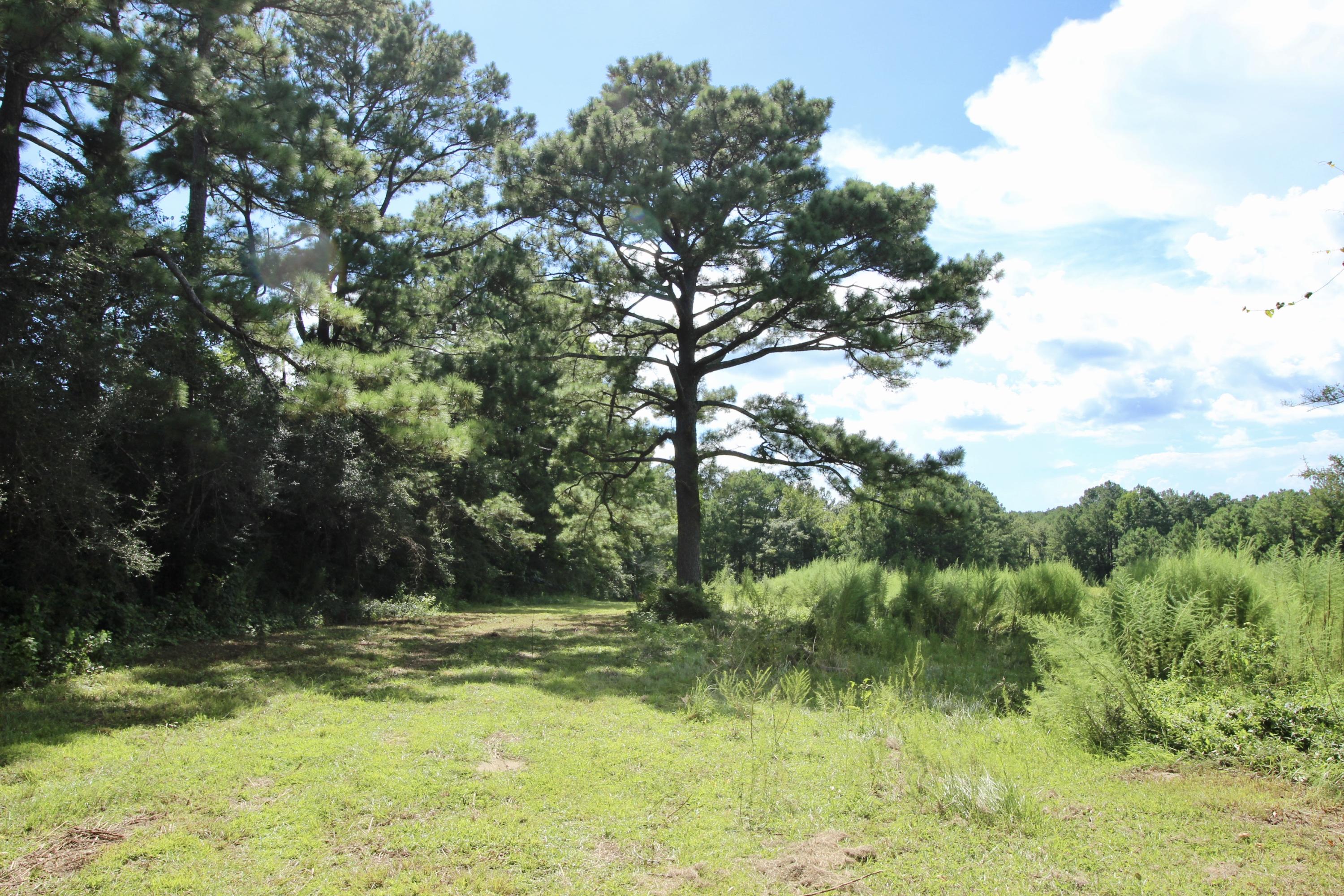 10-ac Boy Scout Road DeFuniak Springs, FL 32435 - Photo 15 of 16 fullsizeoutput_339