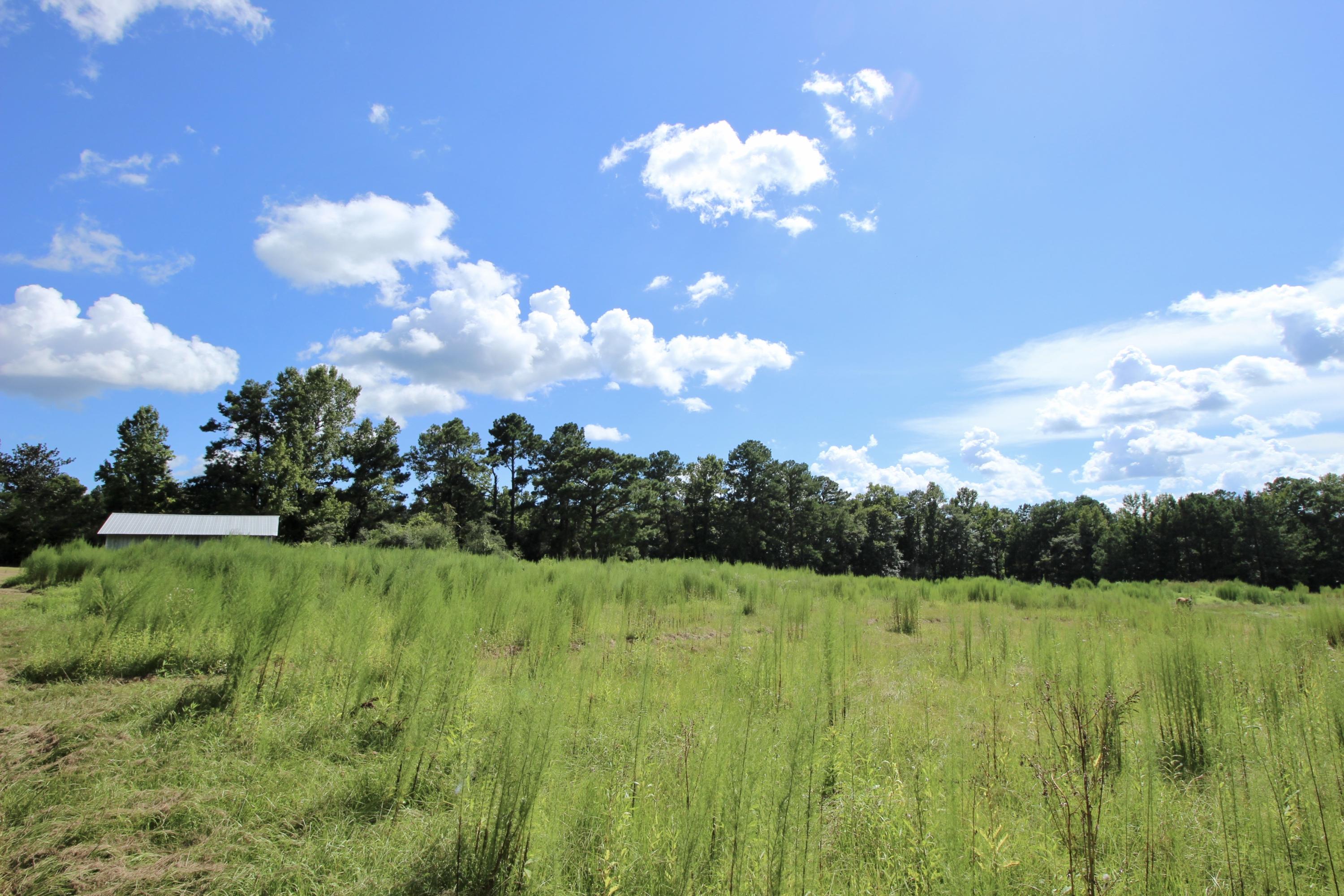 10-ac Boy Scout Road DeFuniak Springs, FL 32435 - Photo 9 of 16 fullsizeoutput_333