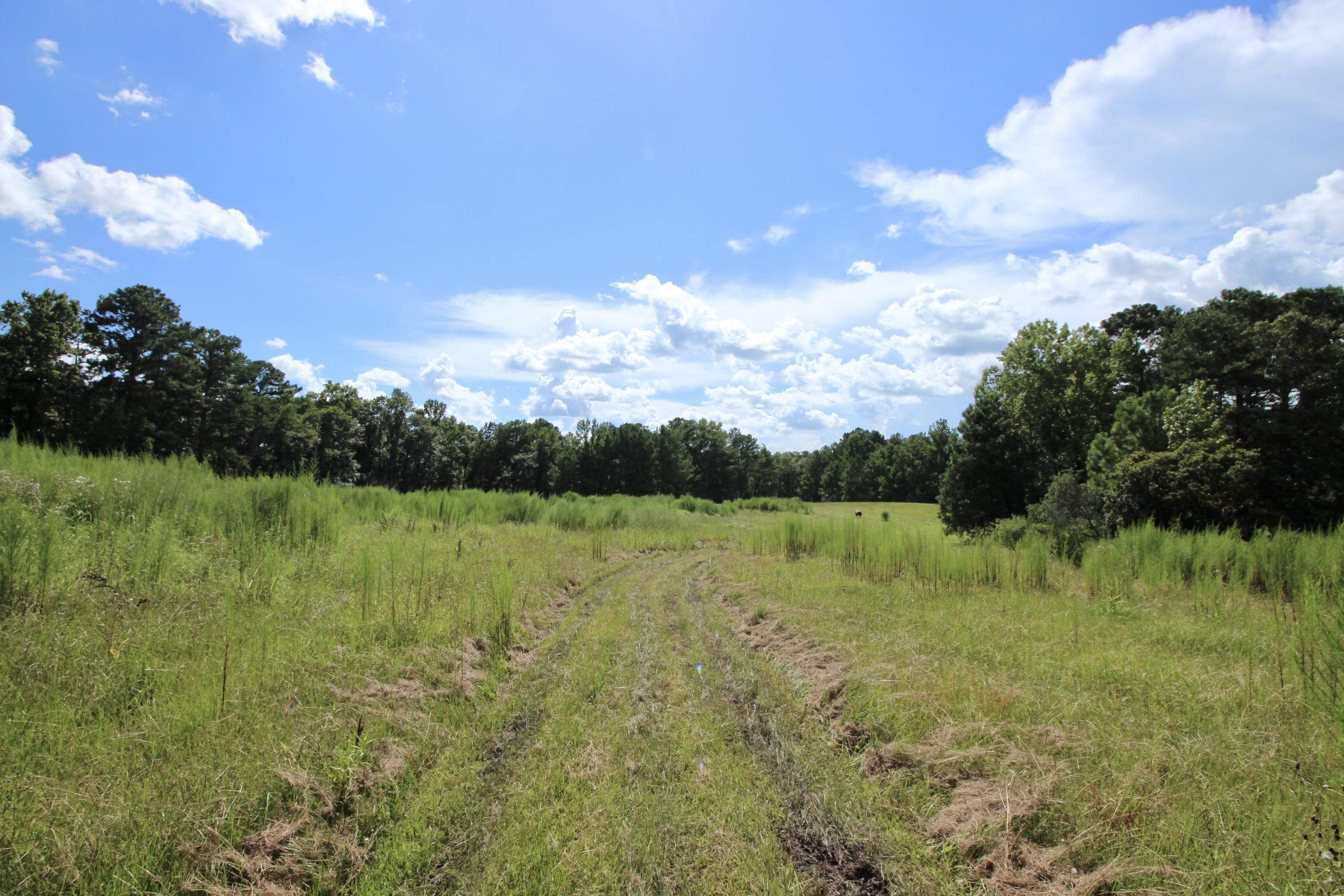 10-ac Boy Scout Road DeFuniak Springs, FL 32435 - Photo 10 of 16 fullsizeoutput_334