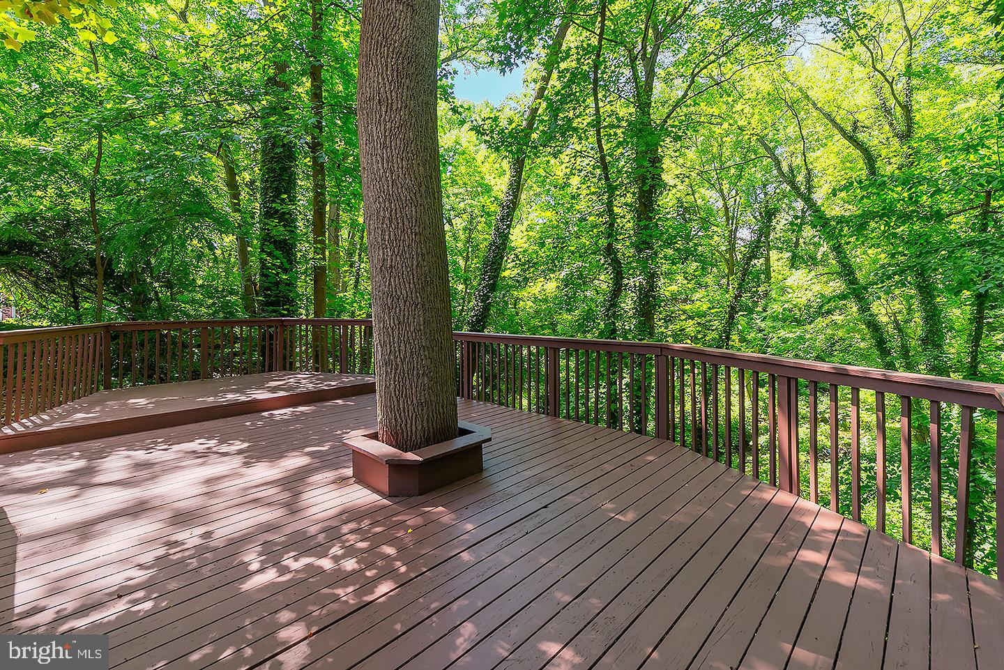 738 Ridge Drive Mantua, NJ 08051 - Photo 20 of 21 Gallery Image 20
