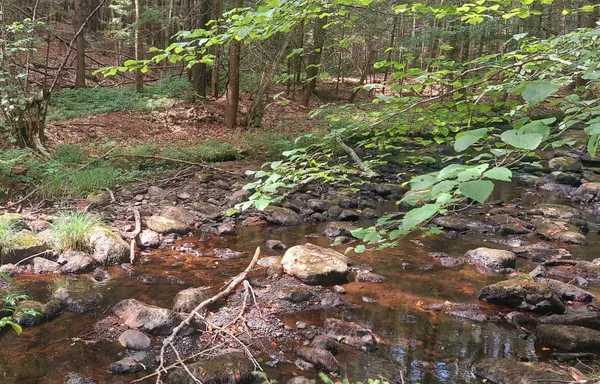 $175,000 | 66 Burton Highway, Wilton, NH 03086