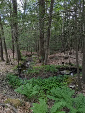 $175,000 | 66 Burton Highway, Wilton, NH 03086