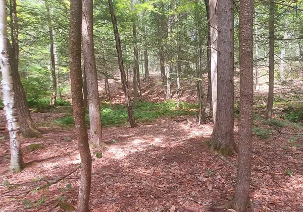 $175,000 | 66 Burton Highway, Wilton, NH 03086