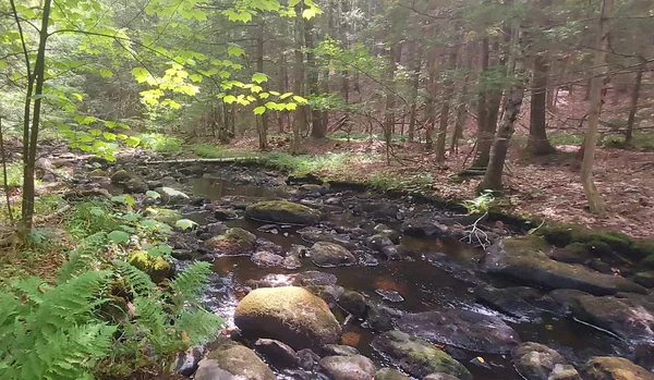 $175,000 | 66 Burton Highway, Wilton, NH 03086