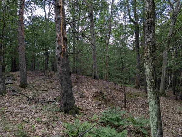 $175,000 | 66 Burton Highway, Wilton, NH 03086