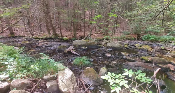 $175,000 | 66 Burton Highway, Wilton, NH 03086