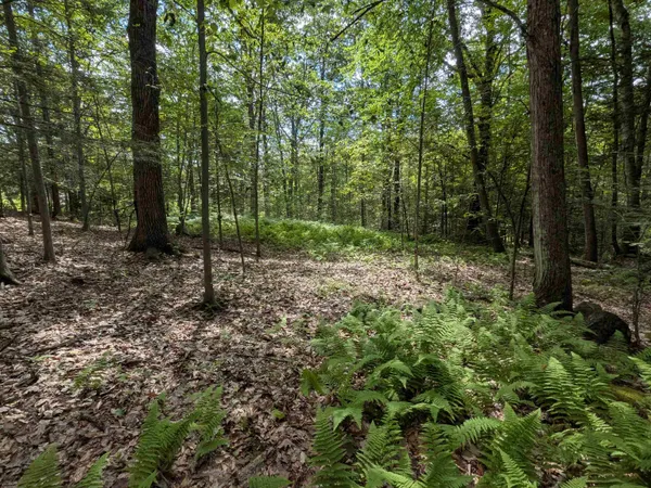 $175,000 | 66 Burton Highway, Wilton, NH 03086