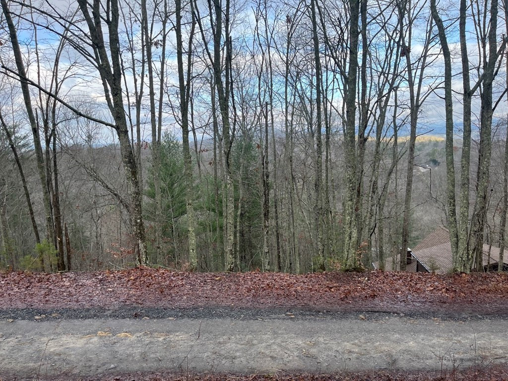 1033 Cardinal Road Murphy, NC 28906 - Photo 5 of 6