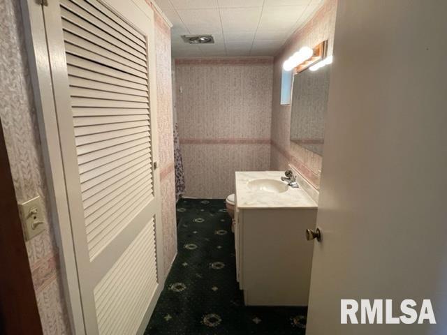 102 West State Street Modesto, IL 62667 - Photo 12 of 29