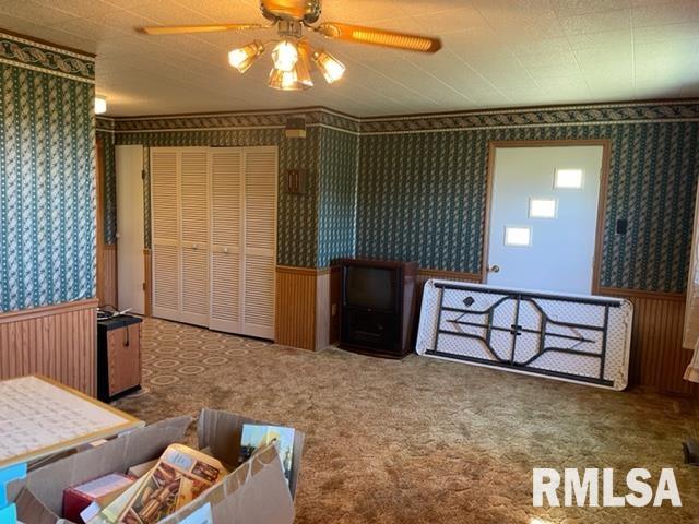 102 West State Street Modesto, IL 62667 - Photo 16 of 29