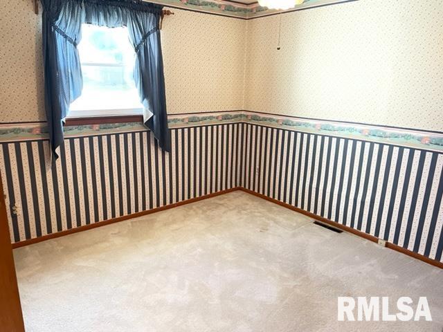 102 West State Street Modesto, IL 62667 - Photo 17 of 29